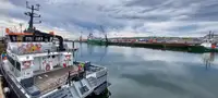 Катамаран на продажу