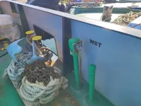 Контейнеровоз на продажу