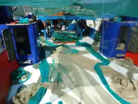 Trawler на продажу