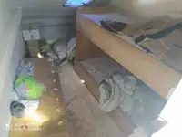 Рабочие суда на продажу