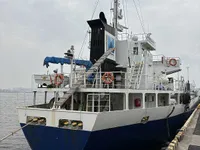 General Cargo/Multi-purpose на продажу