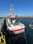 Патрульный катер на продажу