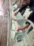 Рабочие суда на продажу