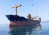 Балкер на продажу
