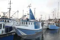 Судно-живорыбовоз на продажу