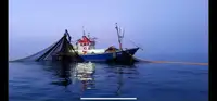 Trawler на продажу