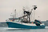 Тральник с тралом-кошельком на продажу
