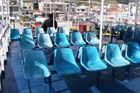 Пассажирское судно на продажу