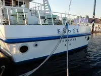 Круизное судно на продажу