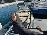 Патрульный катер на продажу