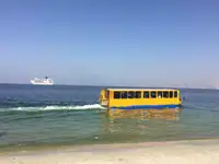 Амфибия на продажу