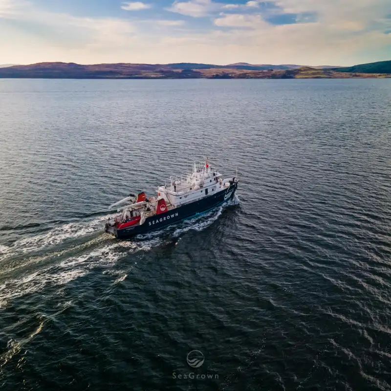 Исследовательское судно продается