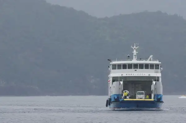 Корабль РОРО продается