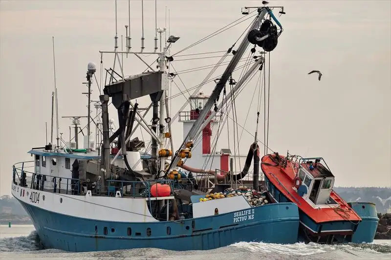 сейнер продается