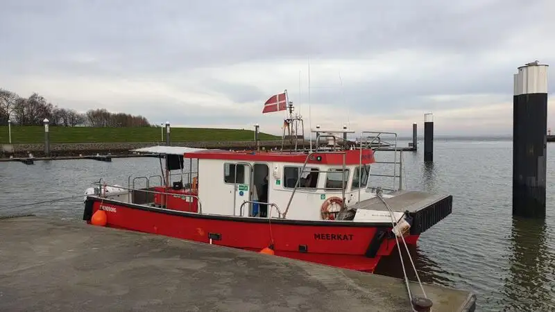 Катамаран продается