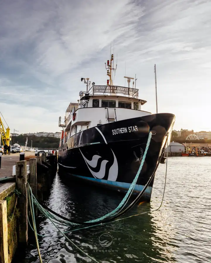 Исследовательское судно продается