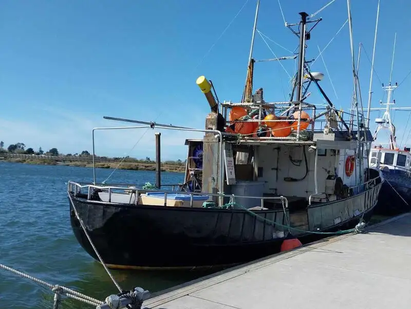 Ярусное судно продается