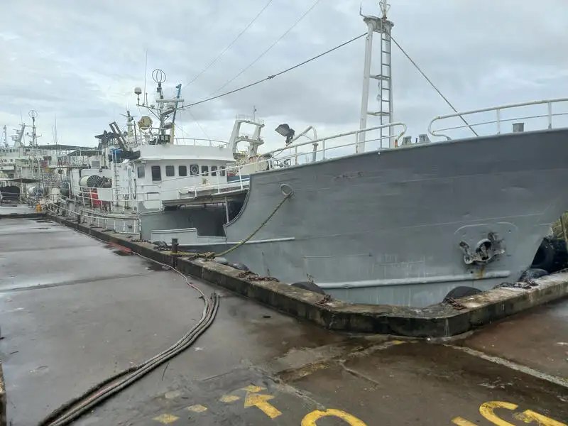 Ярусное судно продается