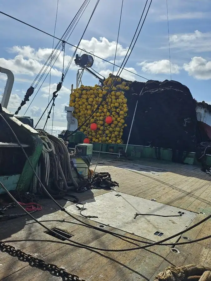 сейнер продается