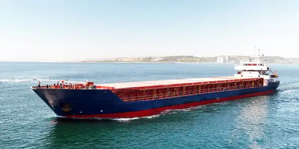 Bulk carrier for sale