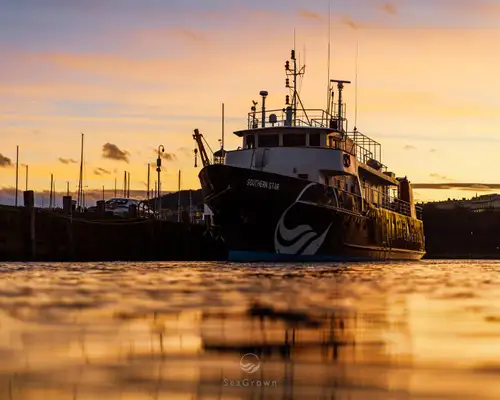 Survey vessel for sale