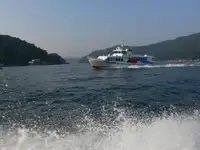 Паромное судно продается