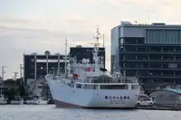 Рыболовный траулер продается