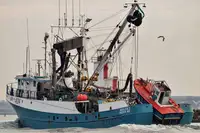 сейнер продается