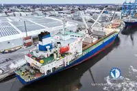 Рефрижераторное судно продается