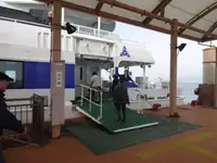 Катамаран продается