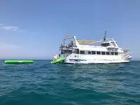 Паромное судно продается