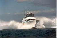 Рабочие лодки продается